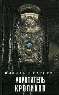 Кирилл Шелестов - Уротитель кроликов - Читать 📖 Читать онлайн 👀 Читаемые книги читать онлайн бесплатно 🔥 booksread-online.com