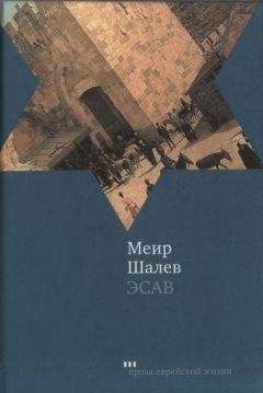 Меир Шалев - Эсав - Читать 📖 Читать онлайн 👀 Читаемые книги читать онлайн бесплатно 🔥 booksread-online.com