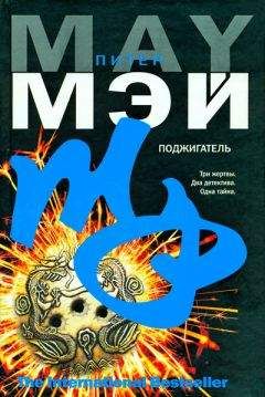 Питер Мэй - Поджигатель - Читать 📖 Читать онлайн 👀 Читаемые книги читать онлайн бесплатно 🔥 booksread-online.com