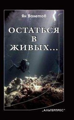 Ян Валетов - Остаться в живых… - Читать 📖 Читать онлайн 👀 Читаемые книги читать онлайн бесплатно 🔥 booksread-online.com