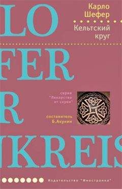 Карло Шефер - Кельтский круг - Читать 📖 Читать онлайн 👀 Читаемые книги читать онлайн бесплатно 🔥 booksread-online.com