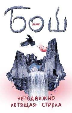 Диана Бош - Неподвижно летящая стрела - Читать 📖 Читать онлайн 👀 Читаемые книги читать онлайн бесплатно 🔥 booksread-online.com