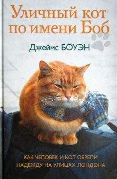 Джеймс Боуэн - Уличный кот по имени Боб. Как человек и кот обрели надежду на улицах Лондона - Читать 📖 Читать онлайн 👀 Читаемые книги читать онлайн бесплатно 🔥 booksread-online.com