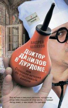 Андрей Шляхов - Доктор Данилов в дурдоме или Страшная история со счастливым концом - Читать 📖 Читать онлайн 👀 Читаемые книги читать онлайн бесплатно 🔥 booksread-online.com