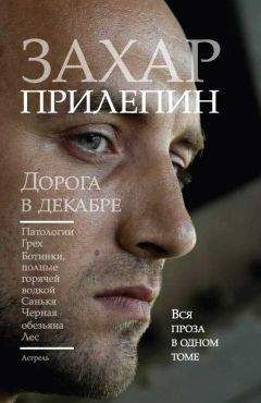 Захар Прилепин - Дорога в декабре - Читать 📖 Читать онлайн 👀 Читаемые книги читать онлайн бесплатно 🔥 booksread-online.com