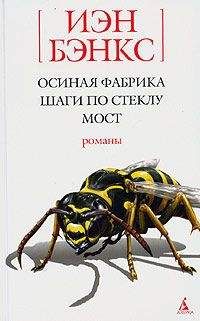 Иэн Бэнкс - Шаги по стеклу - Читать 📖 Читать онлайн 👀 Читаемые книги читать онлайн бесплатно 🔥 booksread-online.com