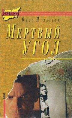 Олег Игнатьев - Мертвый угол - Читать 📖 Читать онлайн 👀 Читаемые книги читать онлайн бесплатно 🔥 booksread-online.com