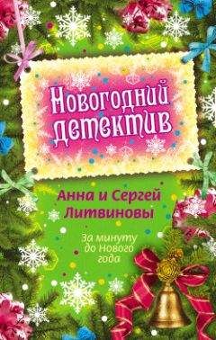 Анна и Сергей Литвиновы - За минуту до Нового года - Читать 📖 Читать онлайн 👀 Читаемые книги читать онлайн бесплатно 🔥 booksread-online.com