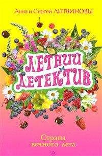 Анна и Сергей Литвиновы - Страна вечного лета - Читать 📖 Читать онлайн 👀 Читаемые книги читать онлайн бесплатно 🔥 booksread-online.com