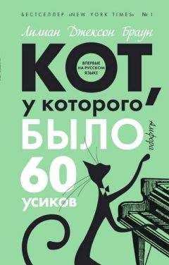 Лилиан Браун - Кот, у которого было 60 усиков - Читать 📖 Читать онлайн 👀 Читаемые книги читать онлайн бесплатно 🔥 booksread-online.com