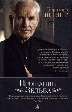 Бернхард Шлинк - Прощание Зельба - Читать 📖 Читать онлайн 👀 Читаемые книги читать онлайн бесплатно 🔥 booksread-online.com
