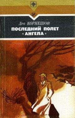 Лев Корнешов - Последний полет «Ангела» - Читать | Читать онлайн | Читаемые книги читать онлайн бесплатно | booksread-online.com