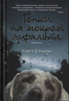 Гарт Стайн - Гонки на мокром асфальте - Читать 📖 Читать онлайн 👀 Читаемые книги читать онлайн бесплатно 🔥 booksread-online.com