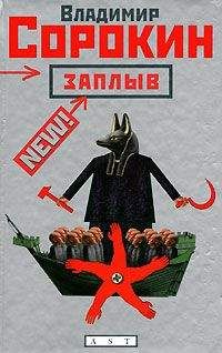 Владимир Сорокин - Заплыв (рассказы и повести, 1978-1981) - Читать 📖 Читать онлайн 👀 Читаемые книги читать онлайн бесплатно 🔥 booksread-online.com