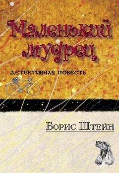 Борис Штейн - Маленький мудрец - Читать | Читать онлайн | Читаемые книги читать онлайн бесплатно | booksread-online.com