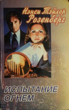 Нэнси Розенберг - Испытание огнем - Читать 📖 Читать онлайн 👀 Читаемые книги читать онлайн бесплатно 🔥 booksread-online.com