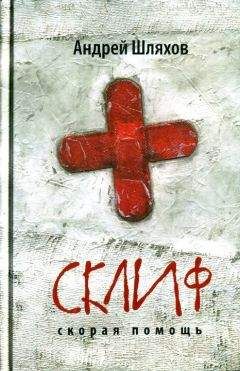 Андрей Шляхов - Склиф. Скорая помощь - Читать 📖 Читать онлайн 👀 Читаемые книги читать онлайн бесплатно 🔥 booksread-online.com