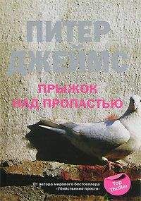 Питер Джеймс - Прыжок над пропастью - Читать 📖 Читать онлайн 👀 Читаемые книги читать онлайн бесплатно 🔥 booksread-online.com