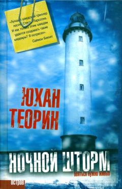 Юхан Теорин - Ночной шторм - Читать | Читать онлайн | Читаемые книги читать онлайн бесплатно | booksread-online.com