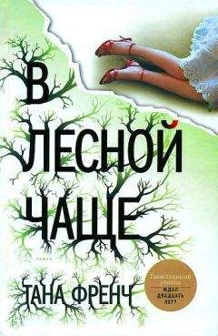 Тана Френч - В лесной чаще - Читать | Читать онлайн | Читаемые книги читать онлайн бесплатно | booksread-online.com