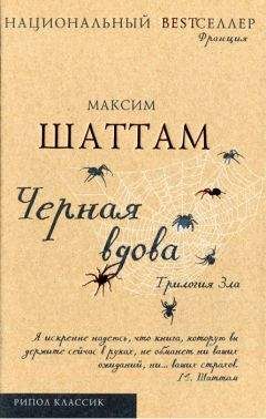 Максим Шаттам - Черная вдова. Шаттам - Читать 📖 Читать онлайн 👀 Читаемые книги читать онлайн бесплатно 🔥 booksread-online.com