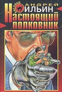 Андрей Ильин - Настоящий полковник - Читать 📖 Читать онлайн 👀 Читаемые книги читать онлайн бесплатно 🔥 booksread-online.com