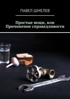 Павел Шмелев - Простые вещи, или Причинение справедливости - Читать | Читать онлайн | Читаемые книги читать онлайн бесплатно | booksread-online.com