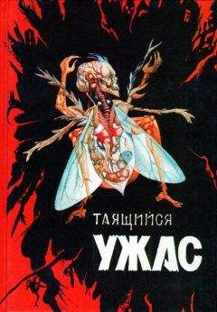 Дэвид Кейс - Таящийся ужас 2 - Читать 📖 Читать онлайн 👀 Читаемые книги читать онлайн бесплатно 🔥 booksread-online.com