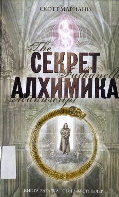 Скотт Мариани - Секрет алхимика - Читать | Читать онлайн | Читаемые книги читать онлайн бесплатно | booksread-online.com