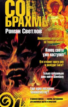 Роман Светлов - Сон Брахмы - Читать 📖 Читать онлайн 👀 Читаемые книги читать онлайн бесплатно 🔥 booksread-online.com