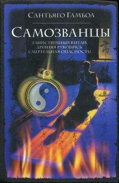 Сантьяго Гамбоа - Самозванцы - Читать 📖 Читать онлайн 👀 Читаемые книги читать онлайн бесплатно 🔥 booksread-online.com