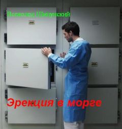 Всеволод Шипунский - Эрекция в морге (СИ) - Читать | Читать онлайн | Читаемые книги читать онлайн бесплатно | booksread-online.com
