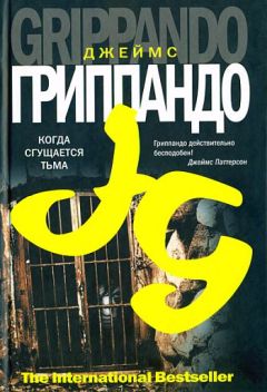 Джеймс Гриппандо - Когда сгущается тьма - Читать 📖 Читать онлайн 👀 Читаемые книги читать онлайн бесплатно 🔥 booksread-online.com