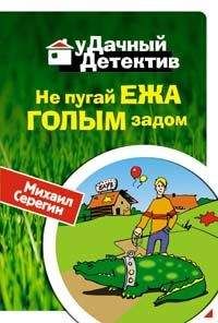 Михаил Серегин - Не пугай ежа голым задом - Читать 📖 Читать онлайн 👀 Читаемые книги читать онлайн бесплатно 🔥 booksread-online.com
