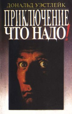 Дональд Уэстлейк - Полицейские и воры - Читать | Читать онлайн | Читаемые книги читать онлайн бесплатно | booksread-online.com