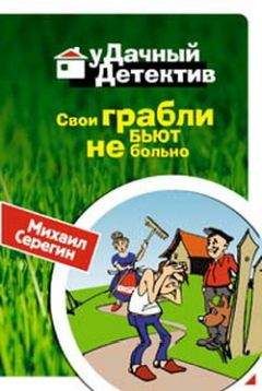 Михаил Серегин - Свои грабли бьют не больно - Читать 📖 Читать онлайн 👀 Читаемые книги читать онлайн бесплатно 🔥 booksread-online.com
