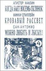 Сан-Антонио - Можно любить и лысых - Читать 📖 Читать онлайн 👀 Читаемые книги читать онлайн бесплатно 🔥 booksread-online.com