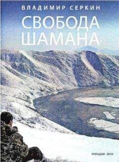 Владимир Серкин - Свобода Шамана - Читать 📖 Читать онлайн 👀 Читаемые книги читать онлайн бесплатно 🔥 booksread-online.com