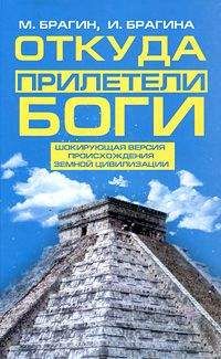 Михаил Брагин - Откуда прилетели боги - Читать | Читать онлайн | Читаемые книги читать онлайн бесплатно | booksread-online.com