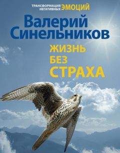 Валерий Синельников - Жизнь без страха - Читать 📖 Читать онлайн 👀 Читаемые книги читать онлайн бесплатно 🔥 booksread-online.com