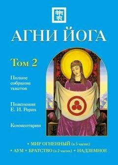 Наталия Ковалева - Агни Йога с комментариями. Том 2 - Читать 📖 Читать онлайн 👀 Читаемые книги читать онлайн бесплатно 🔥 booksread-online.com
