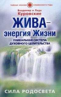 Владимир Куровский - ЖИВА - энергия Жизни. Уникальная система духовного целительства. Сила Родосвета. - Читать 📖 Читать онлайн 👀 Читаемые книги читать онлайн бесплатно 🔥 booksread-online.com