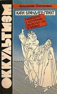 Карл Брандлер-Прахт - Оккультизм. Руководство к воспитанию оккультных сил в человеке - Читать 📖 Читать онлайн 👀 Читаемые книги читать онлайн бесплатно 🔥 booksread-online.com