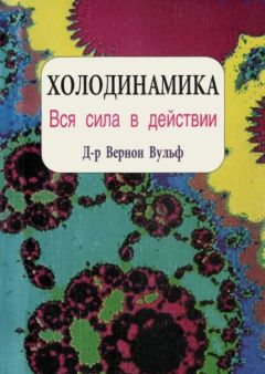 Вернон Вульф - Холодинамика. Как развивать и управлять своей внутренней личностной силой - Читать 📖 Читать онлайн 👀 Читаемые книги читать онлайн бесплатно 🔥 booksread-online.com