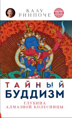 Калу Ринпоче - Тайный буддизм. Том III. Глубина Алмазной колесницы - Читать 📖 Читать онлайн 👀 Читаемые книги читать онлайн бесплатно 🔥 booksread-online.com