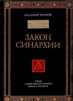 Владимир Шмаков - ЗАКОН СИНАРХИИ - Читать | Читать онлайн | Читаемые книги читать онлайн бесплатно | booksread-online.com