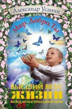 Александр Усанин - Высший вкус жизни. Выход из материальной игры - Читать 📖 Читать онлайн 👀 Читаемые книги читать онлайн бесплатно 🔥 booksread-online.com
