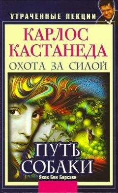 Яков Бирсави - Карлос Кастанеда. Утраченные лекции. Охота за Силой. Путь Собаки - Читать 📖 Читать онлайн 👀 Читаемые книги читать онлайн бесплатно 🔥 booksread-online.com