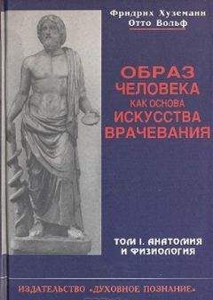 Фридрих Хуземанн - Образ человека как основа искусства врачевания - Том I. Анатомия и физиология - Читать | Читать онлайн | Читаемые книги читать онлайн бесплатно | booksread-online.com