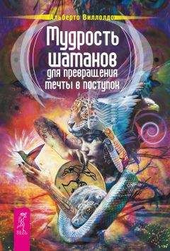 Альберто Виллолдо - Мудрость шаманов для превращения мечты в поступок - Читать | Читать онлайн | Читаемые книги читать онлайн бесплатно | booksread-online.com